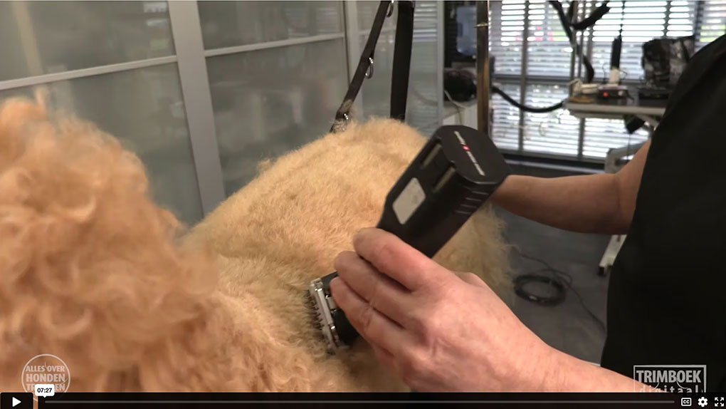 Labradoodle, scheren met opzetkammen TRIMBOEKdigitaal