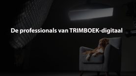 de-professionals