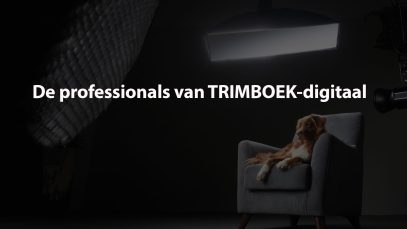 de-professionals